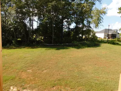18 Hiddenbrook Ct, Angier, NC 27501 photo 20