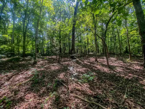117 River View Ct, Timberlake, NC 27583 photo 91
