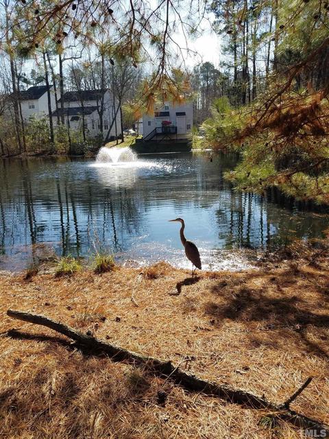 209 Rapp Ln, Apex, NC 27502 photo 30