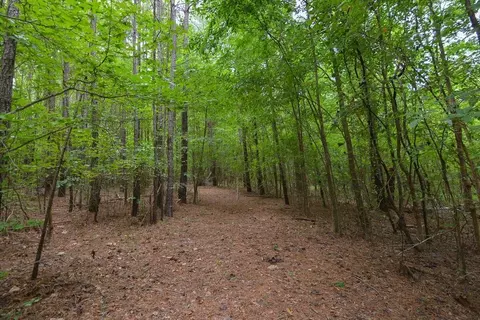 3618 Evergreen Trl, Stem, NC 27581 photo 28