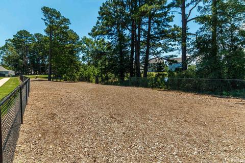 1028 Climbing Aster Dr, Durham, NC 27703 photo 27
