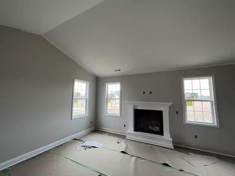 145 Briar Den Ct, Benson, NC 27504 photo 4
