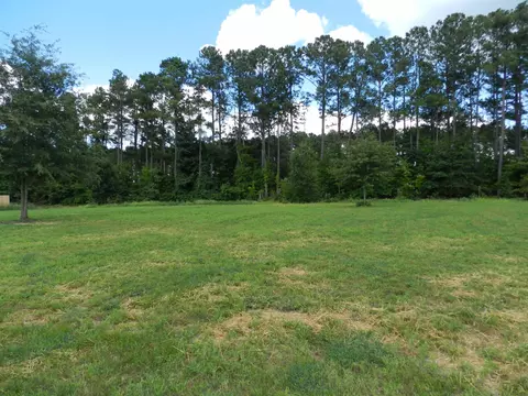 257 Tractor Pl, Willow Spring, NC 27592 photo 13
