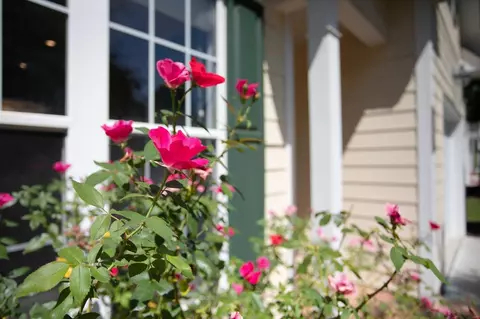 98 Grapevine Trl, Durham, NC 27707 photo 28