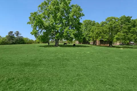 2206 Timberview Dr, Durham, NC 27705 photo 42