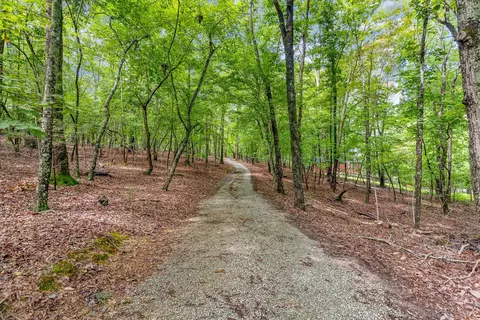 581 Fire Tower Dr, Rougemont, NC 27572 photo 26
