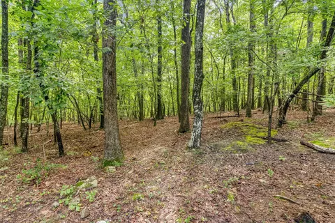 581 Fire Tower Dr, Rougemont, NC 27572 photo 27