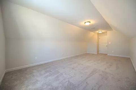 96 Hungry Creek Dr, Erwin, NC 28339 photo 28