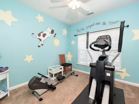 4 Wood Lily Ct, Durham, NC 27713 photo 24