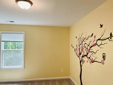 1002 Crescent Moon Ct, Durham, NC 27712 photo 47