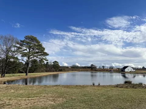 4408 Beckel Rd, Willow Spring, NC 27592 photo 19