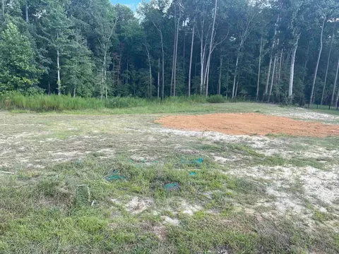133 Silverside Dr, Angier, NC 27501 photo 4