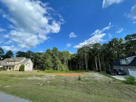 133 Silverside Dr, Angier, NC 27501 photo 6