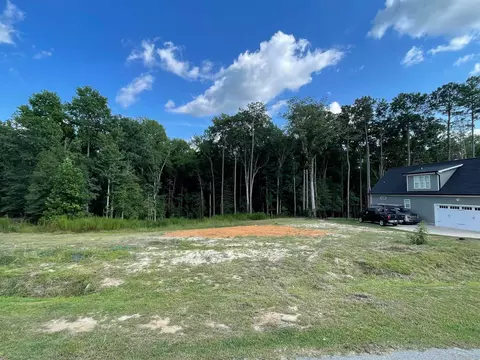 133 Silverside Dr, Angier, NC 27501 photo 8