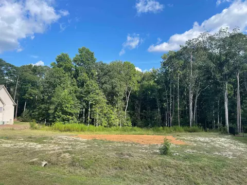 133 Silverside Dr, Angier, NC 27501 photo 1