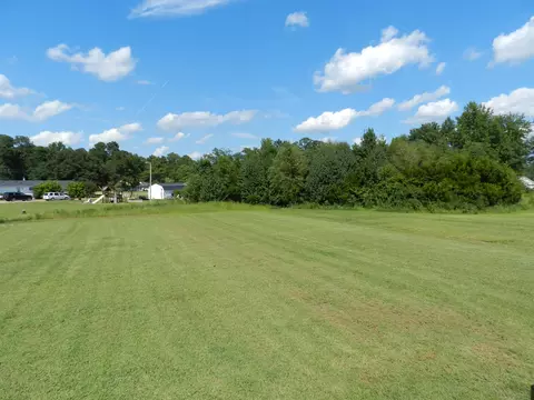 91 Touchdown Way, Benson, NC 27504 photo 12