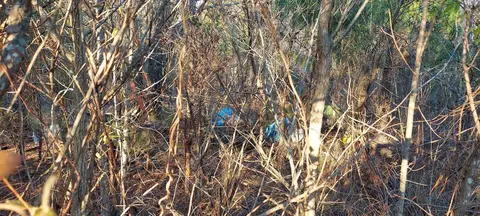 508 Us 158, Ahoskie, NC 27910