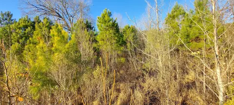 00 Us 158, Ahoskie, NC 27910