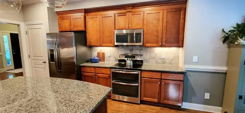 1098 Buggy Ln, Stem, NC 27581 photo 11