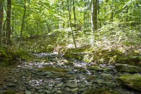 1098 Buggy Ln, Stem, NC 27581 photo 40