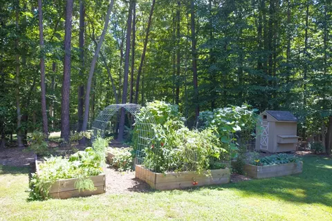 1098 Buggy Ln, Stem, NC 27581 photo 36