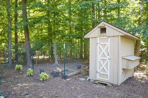 1098 Buggy Ln, Stem, NC 27581 photo 37