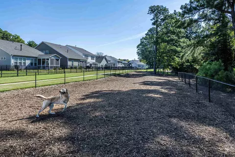 232 Silverhawk Ln, Durham, NC 27703 photo 34