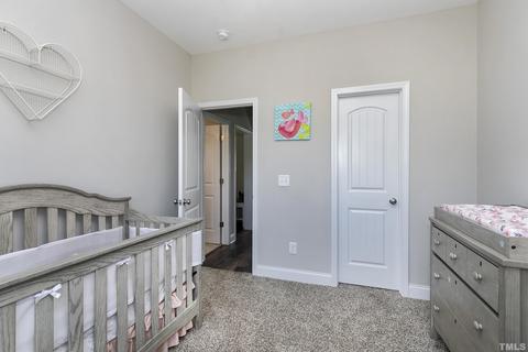 7163 S Nc 210, Bunnlevel, NC 28323 photo 34