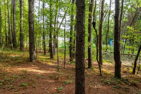 375 Godwin Rd, Benson, NC 27504 photo 9