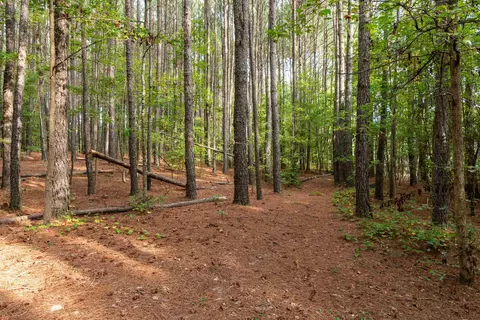 375 Godwin Rd, Benson, NC 27504 photo 10