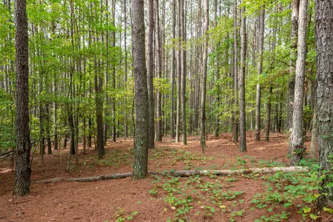 375 Godwin Rd, Benson, NC 27504 photo 8