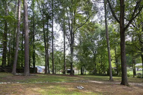 110 Jasmine Pl, Durham, NC 27712 photo 34