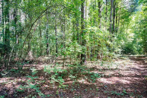 00001 Wayside Ln, Bunnlevel, NC 28323 photo 15