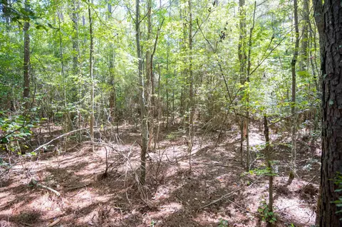 00001 Wayside Ln, Bunnlevel, NC 28323 photo 24