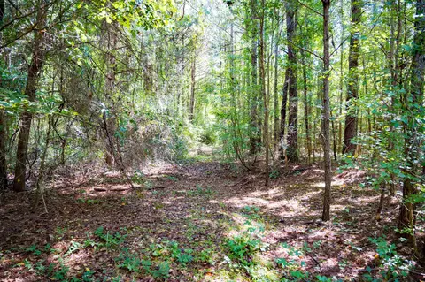 00001 Wayside Ln, Bunnlevel, NC 28323 photo 14