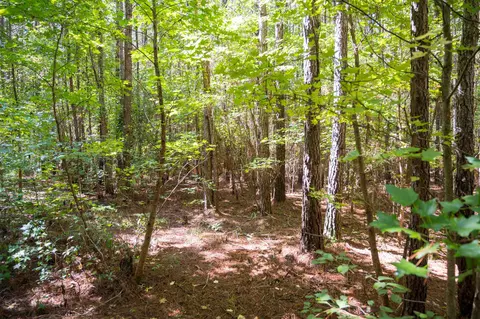00001 Wayside Ln, Bunnlevel, NC 28323 photo 23