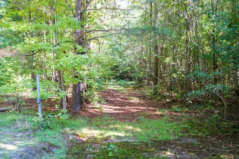 00001 Wayside Ln, Bunnlevel, NC 28323 photo 11