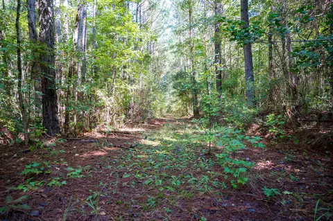 00001 Wayside Ln, Bunnlevel, NC 28323 photo 18