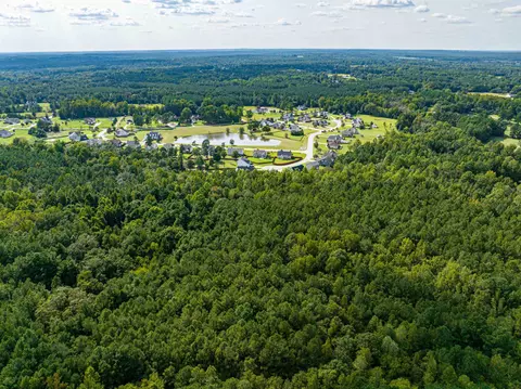 00001 Wayside Ln, Bunnlevel, NC 28323 photo 6