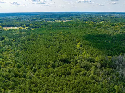 00001 Wayside Ln, Bunnlevel, NC 28323 photo 7