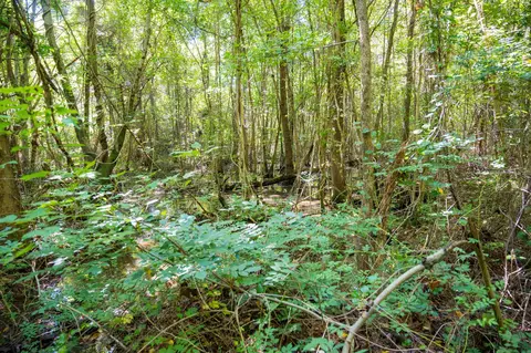 00001 Wayside Ln, Bunnlevel, NC 28323 photo 16