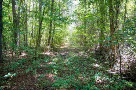 00001 Wayside Ln, Bunnlevel, NC 28323 photo 17