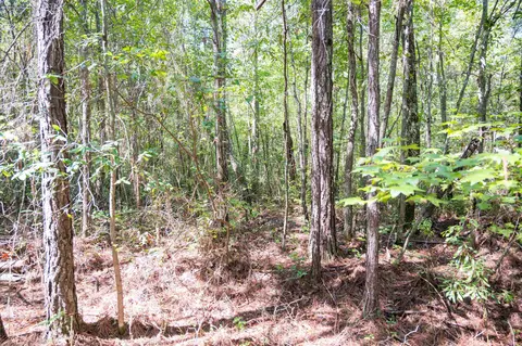 00001 Wayside Ln, Bunnlevel, NC 28323 photo 21