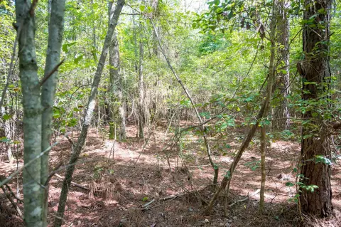 00001 Wayside Ln, Bunnlevel, NC 28323 photo 25