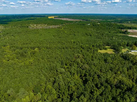00001 Wayside Ln, Bunnlevel, NC 28323 photo 5