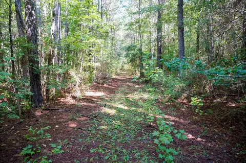 00001 Wayside Ln, Bunnlevel, NC 28323 photo 19