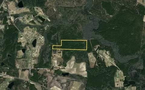 00001 Wayside Ln, Bunnlevel, NC 28323 photo 2