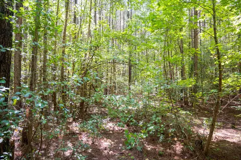 00001 Wayside Ln, Bunnlevel, NC 28323 photo 22
