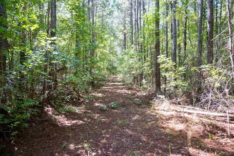 00001 Wayside Ln, Bunnlevel, NC 28323 photo 20