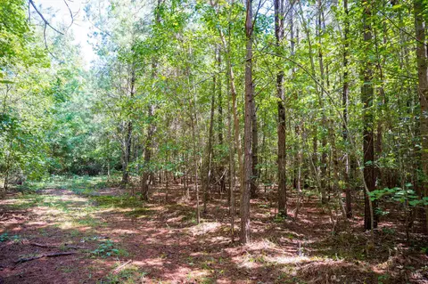 00001 Wayside Ln, Bunnlevel, NC 28323 photo 12